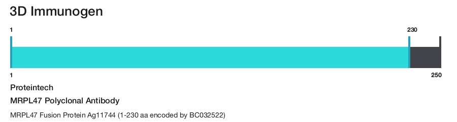 MRPL47 Polyclonal Antibody