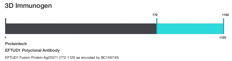 EFTUD1 Polyclonal Antibody