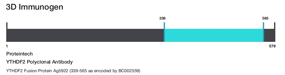 YTHDF2 Polyclonal Antibody