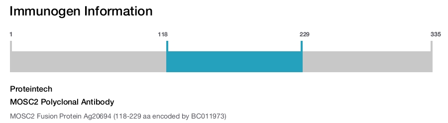 MOSC2 Polyclonal Antibody