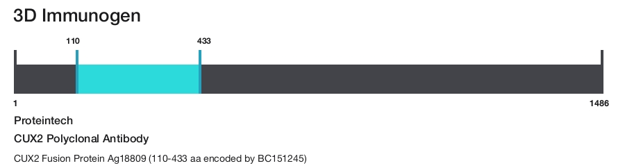 CUX2 Polyclonal Antibody