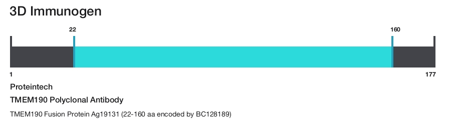 TMEM190 Polyclonal Antibody