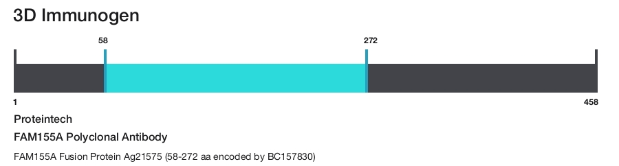 FAM155A Polyclonal Antibody