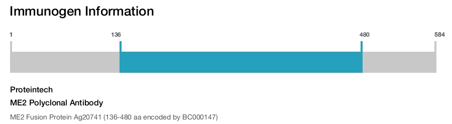 ME2 Polyclonal Antibody