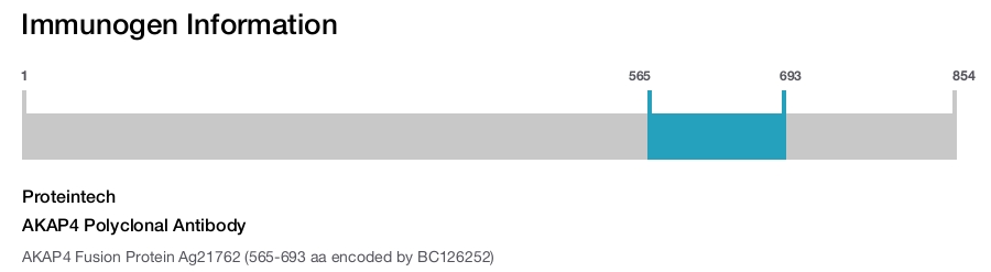 AKAP4 Polyclonal Antibody