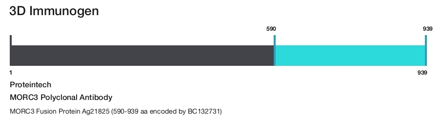 MORC3 Polyclonal Antibody