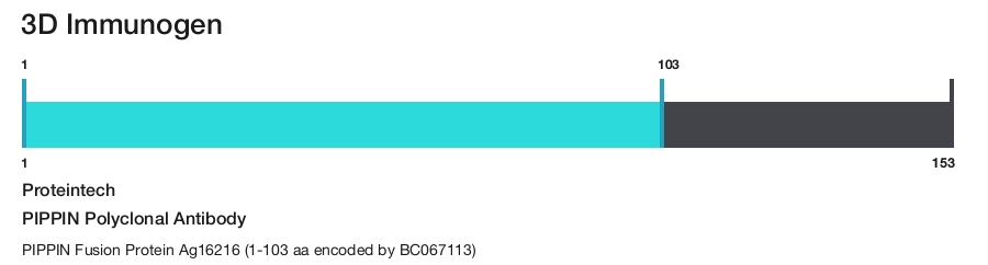PIPPIN Polyclonal Antibody