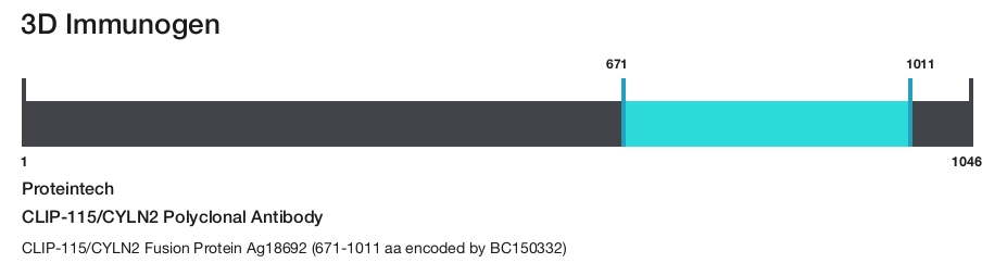 CLIP-115/CYLN2 Polyclonal Antibody