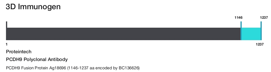 PCDH9 Polyclonal Antibody