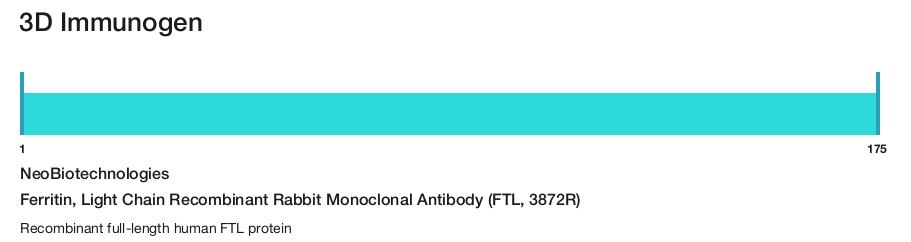 Ferritin, Light Chain Recombinant Rabbit Monoclonal Antibody (FTL, 3872R)