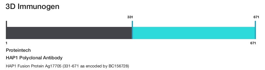 HAP1 Polyclonal Antibody