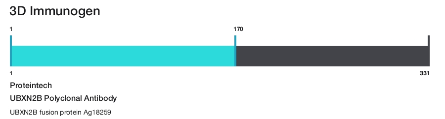 UBXN2B Polyclonal Antibody