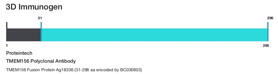 TMEM156 Polyclonal Antibody