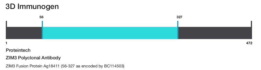 ZIM3 Polyclonal Antibody