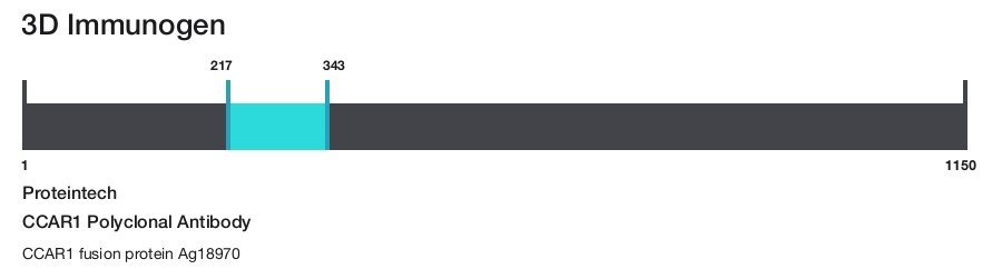 CCAR1 Polyclonal Antibody