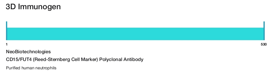 CD15/FUT4 (Reed-Sternberg Cell Marker) Polyclonal Antibody