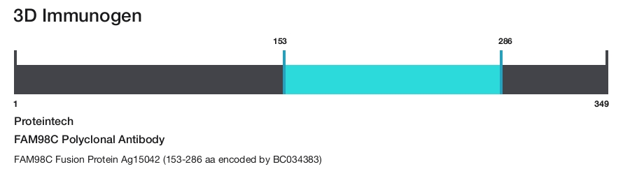 FAM98C Polyclonal Antibody