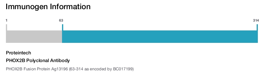 PHOX2B Polyclonal Antibody