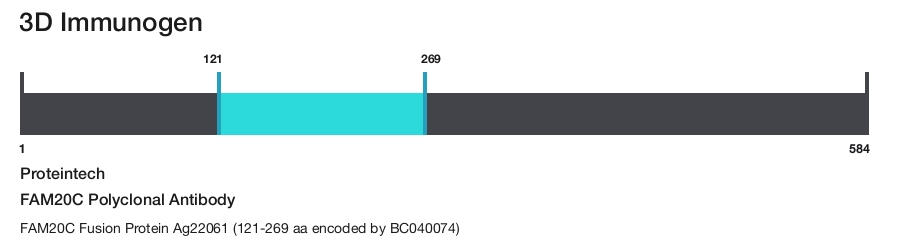 FAM20C Polyclonal Antibody