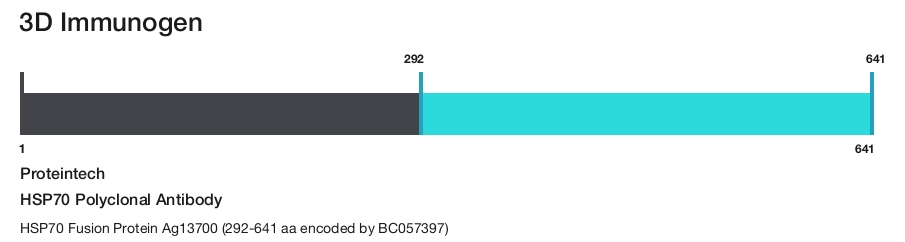 HSP70 Polyclonal Antibody