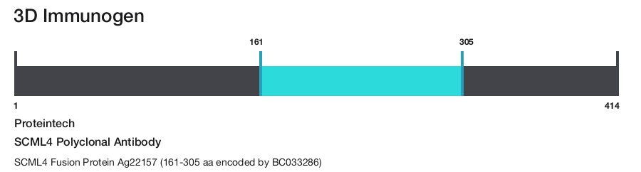 SCML4 Polyclonal Antibody