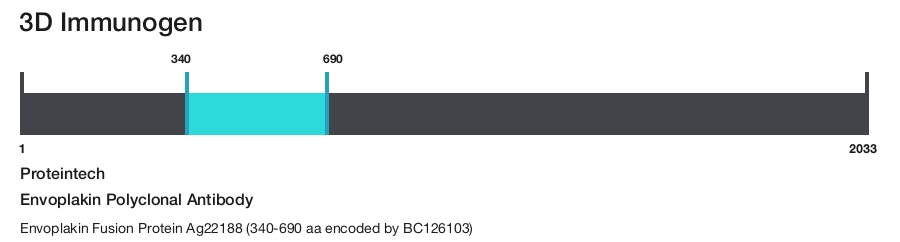 Envoplakin Polyclonal Antibody