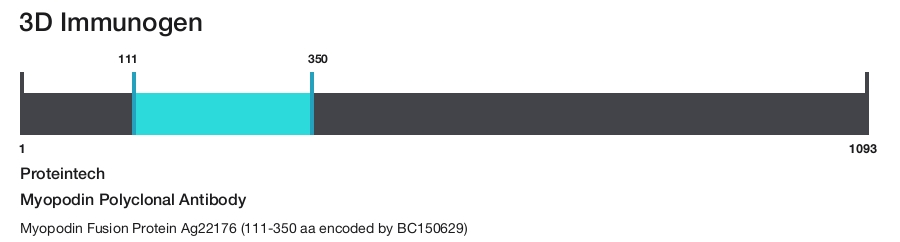 Myopodin Polyclonal Antibody