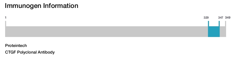 CTGF Polyclonal Antibody