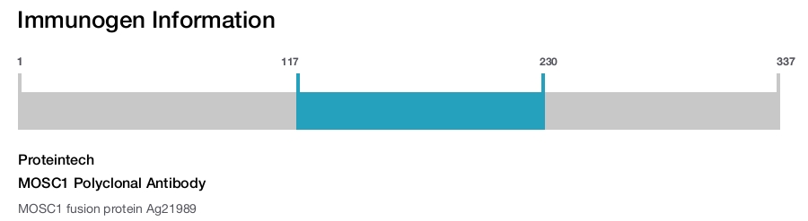 MOSC1 Polyclonal Antibody