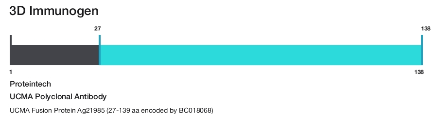 UCMA Polyclonal Antibody