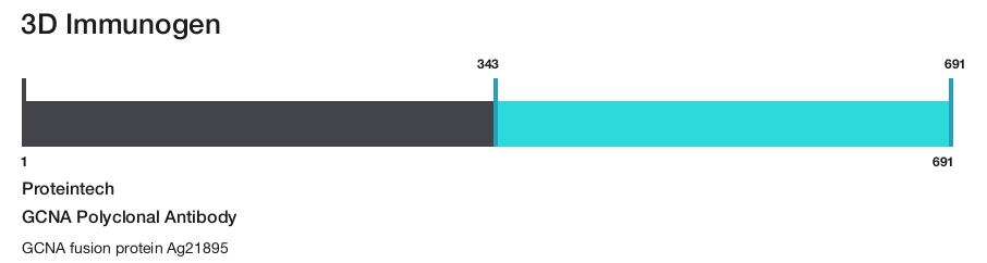GCNA Polyclonal Antibody