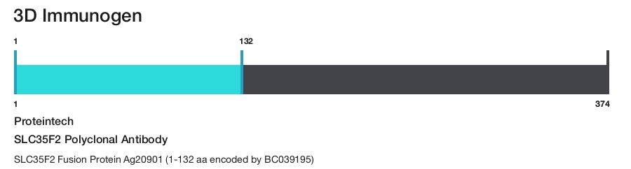 SLC35F2 Polyclonal Antibody