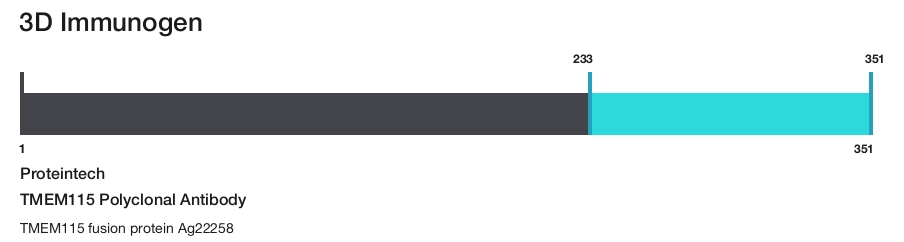 TMEM115 Polyclonal Antibody