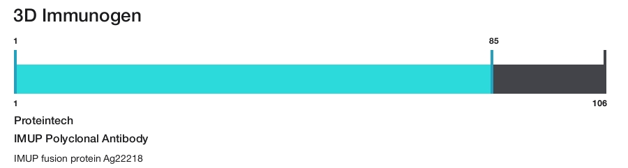 IMUP Polyclonal Antibody