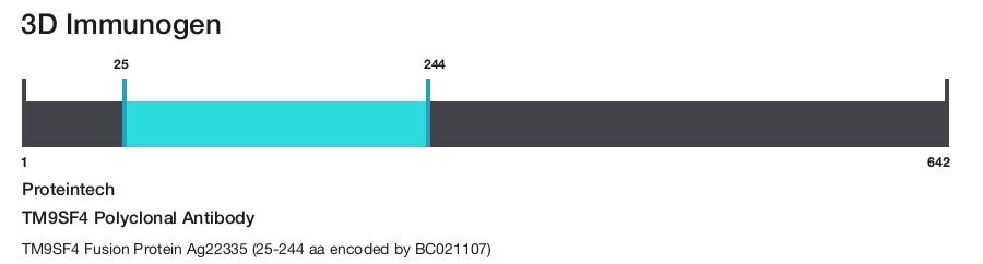TM9SF4 Polyclonal Antibody