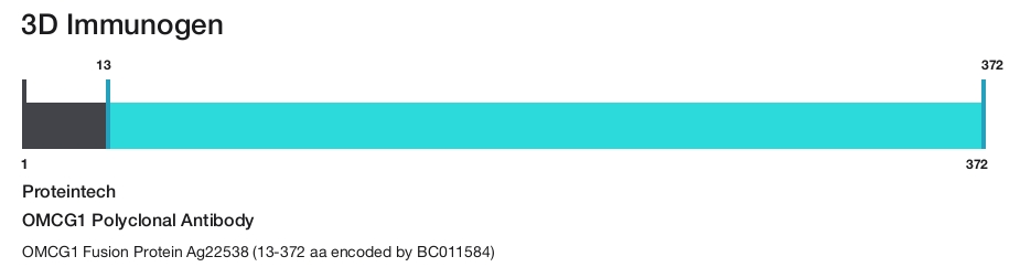 OMCG1 Polyclonal Antibody