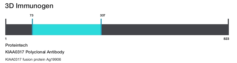 KIAA0317 Polyclonal Antibody