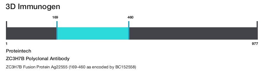 ZC3H7B Polyclonal Antibody
