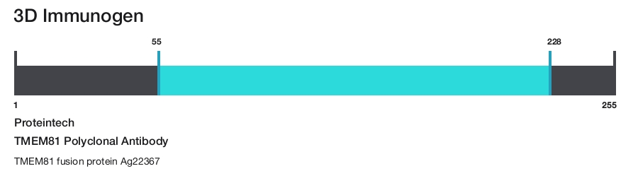 TMEM81 Polyclonal Antibody