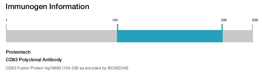 CD63 Polyclonal Antibody