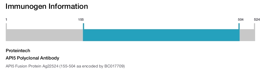 API5 Polyclonal Antibody