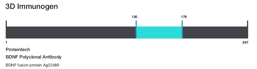 BDNF Polyclonal Antibody