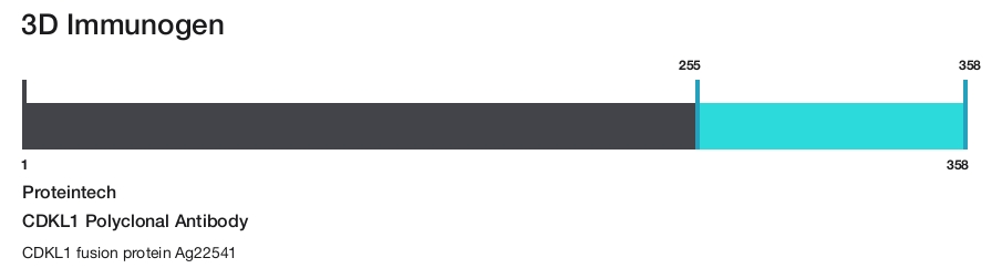 CDKL1 Polyclonal Antibody