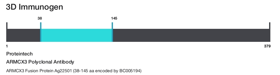 ARMCX3 Polyclonal Antibody