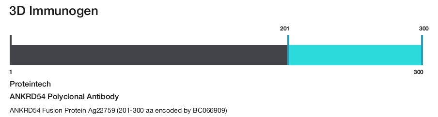 ANKRD54 Polyclonal Antibody