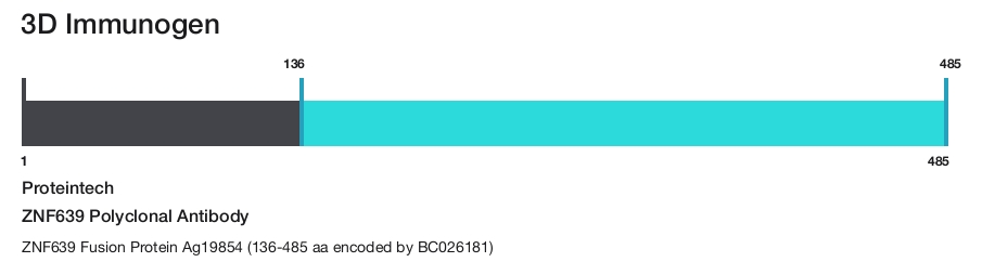 ZNF639 Polyclonal Antibody