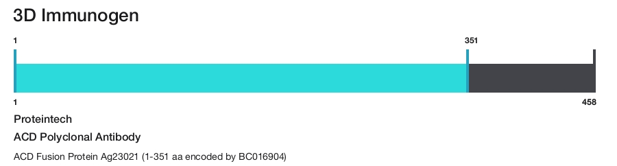 ACD Polyclonal Antibody
