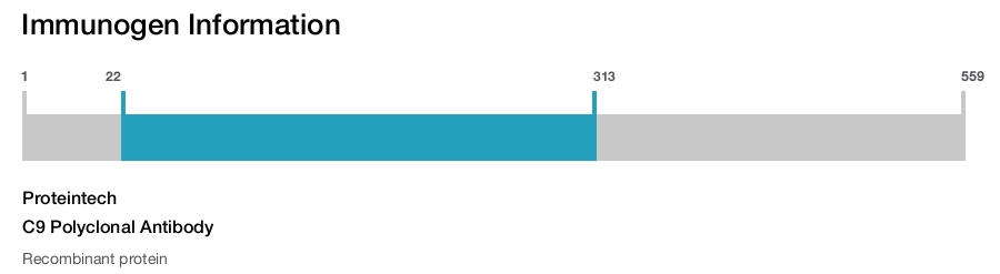 C9 Polyclonal Antibody