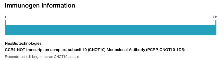 CCR4-NOT transcription complex, subunit 10 (CNOT10) Monoclonal Antibody (PCRP-CNOT10-1D5)