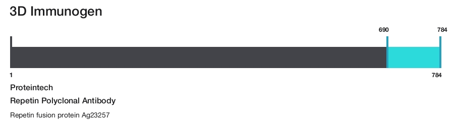 Repetin Polyclonal Antibody